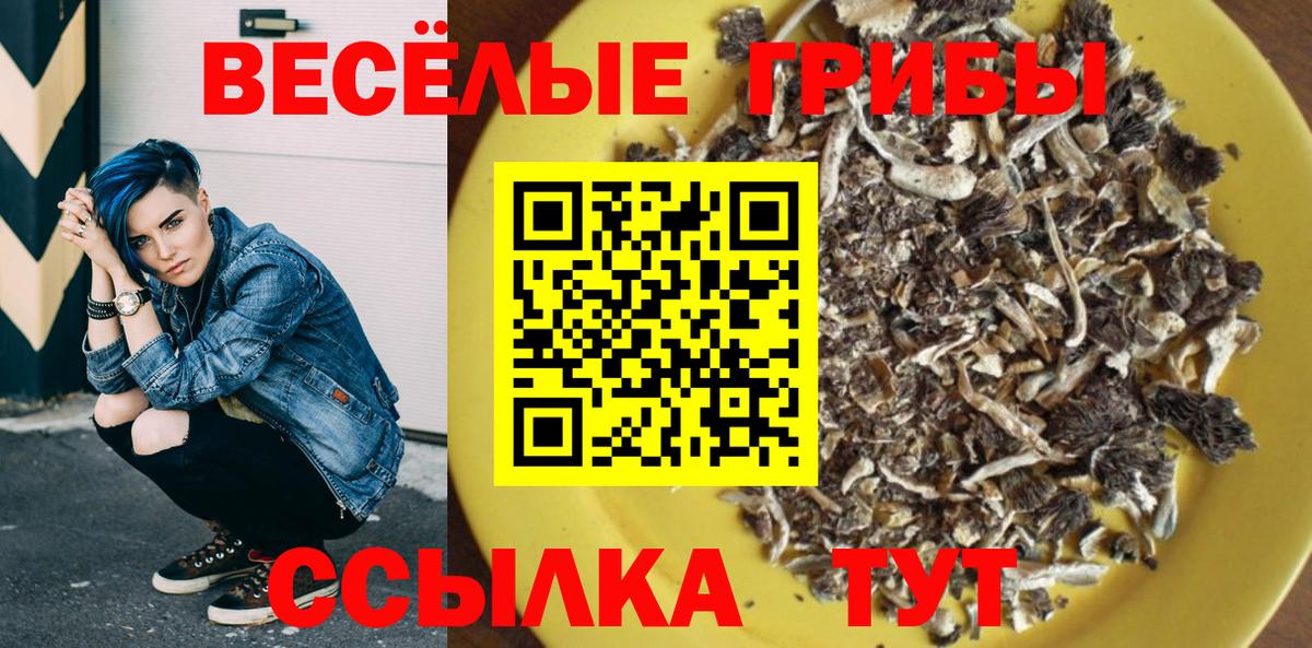 Галлюциногенные грибы ЛСД Лесной
