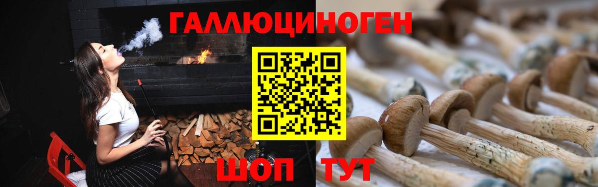 Псилоцибиновые грибы MAGIC MUSHROOMS  Вход с VPN  Псилоцибиновые грибы GOLDEN TEACHER  Лесной 